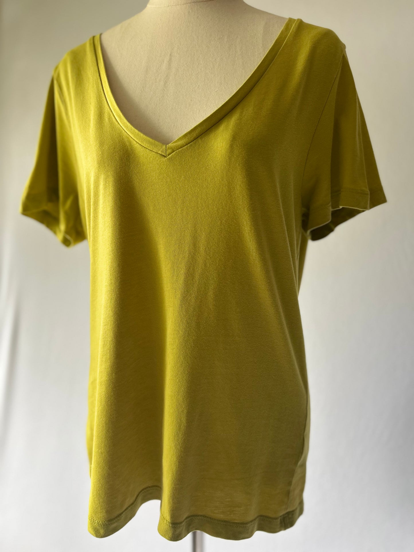 Basic V-Neck T-Shirt – 100% Cotton, Size 12