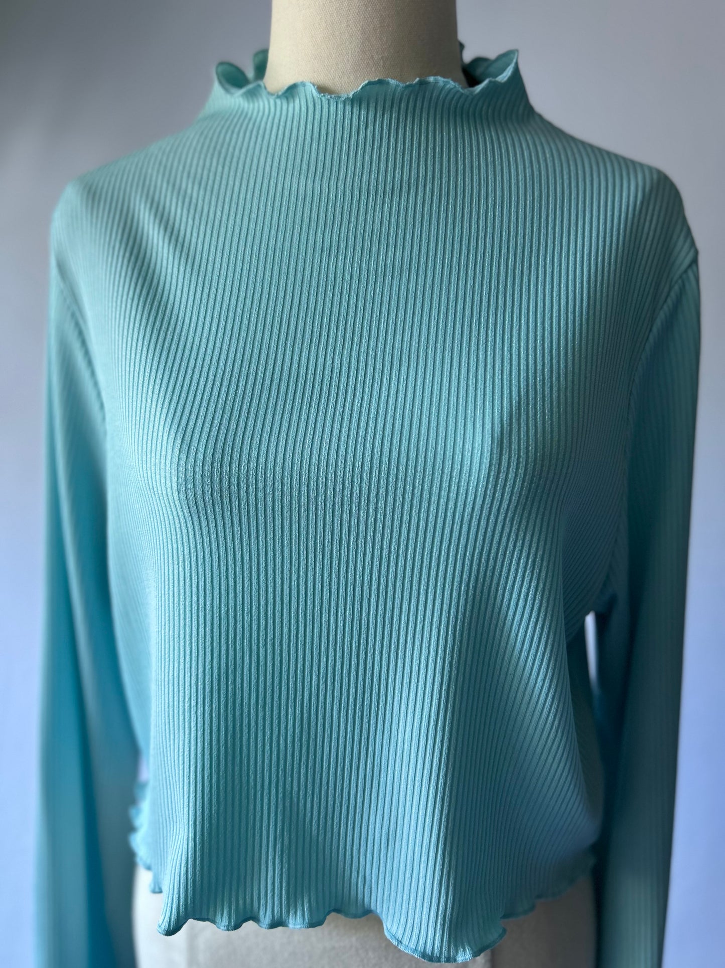 Baby Blue Long Sleeve Cropped Top | Size 16 | Polyester Blend