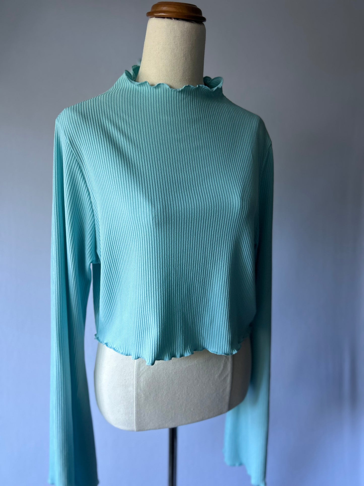 Baby Blue Long Sleeve Cropped Top | Size 16 | Polyester Blend