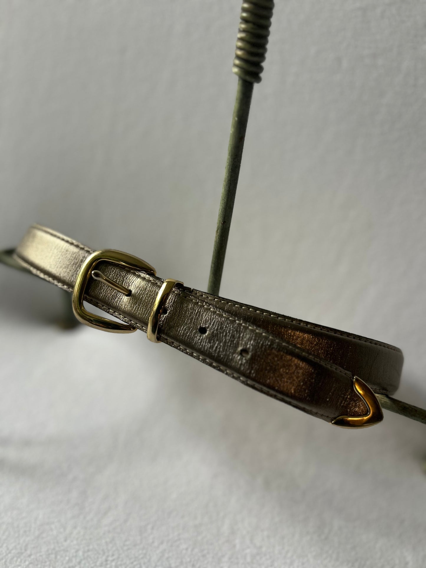 Metallic Bronze Skinny Belt with Gold Hardware - 80cm