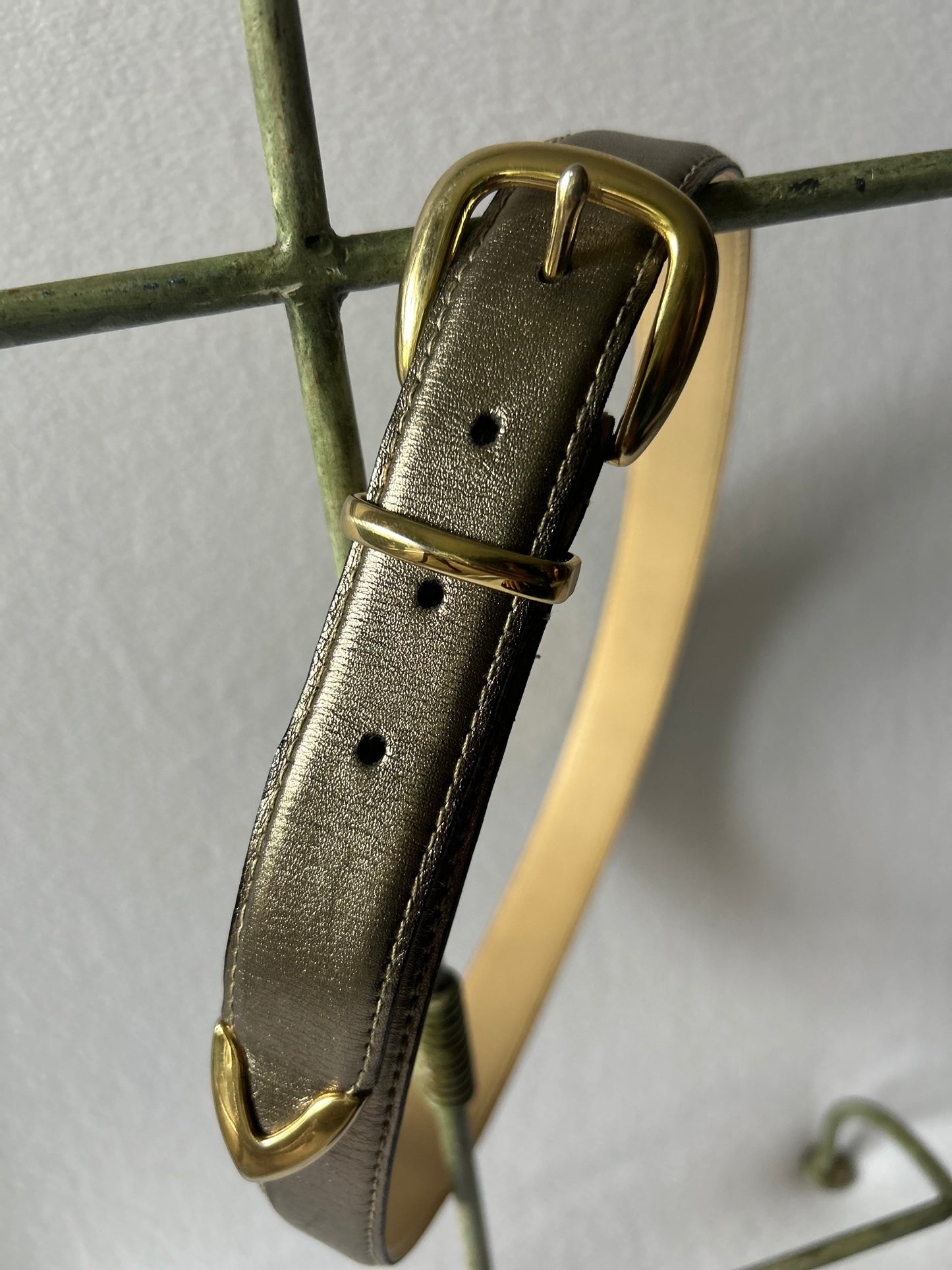 Metallic Bronze Skinny Belt with Gold Hardware - 80cm