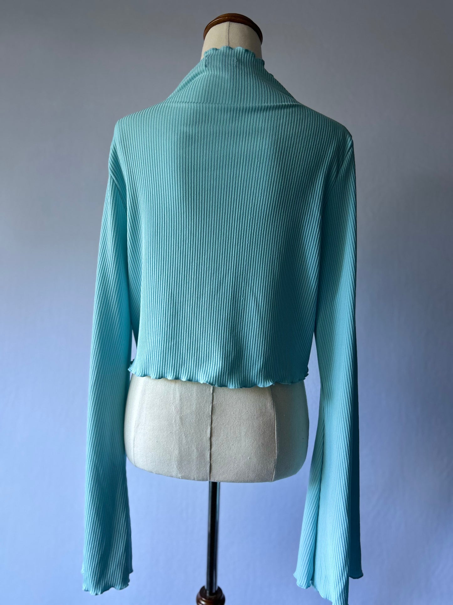 Baby Blue Long Sleeve Cropped Top | Size 16 | Polyester Blend